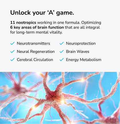Mind Lab Pro® v4