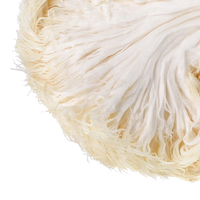 Lion's Mane Mushroom